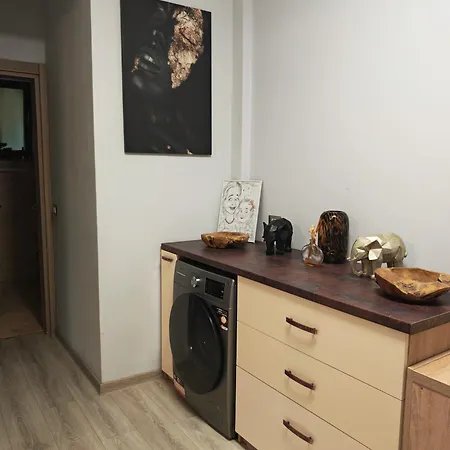 Apartment Apartamentul 