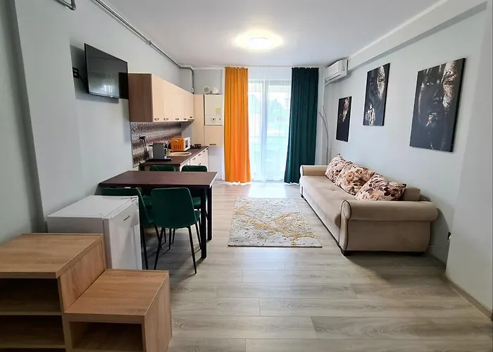 Apartment Apartamentul 